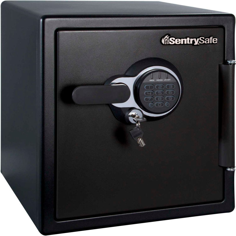 You are currently viewing Sentry Safe lockout and repair.